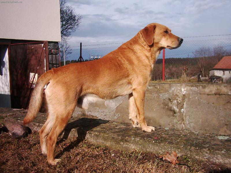 Foto: �ap�k-�ap�k