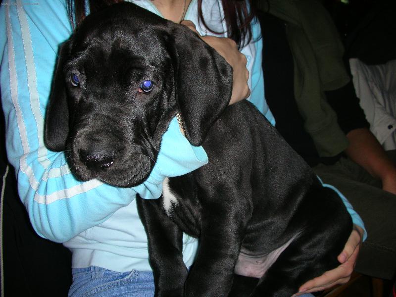 Foto: J� chci zp�tky k m�m�!