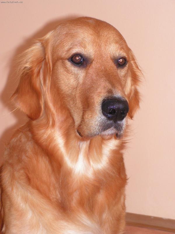 Foto: M�j krasavec