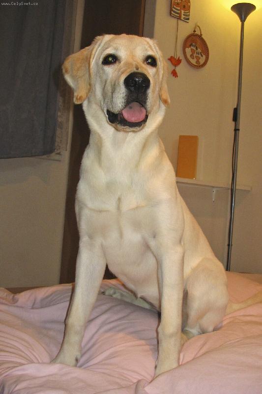 Foto: Aisha 6 m�s�c�