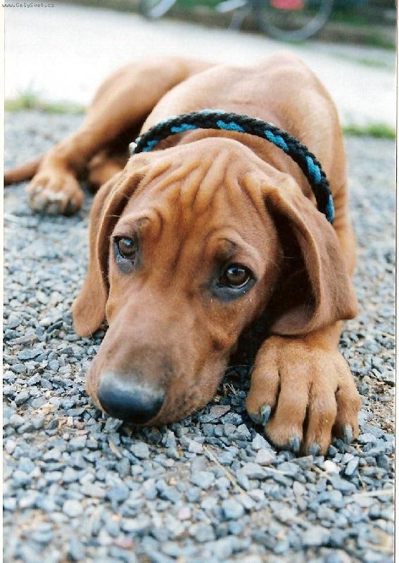 Foto: Rich�nek-:-)))