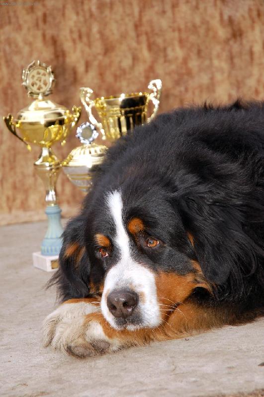 Foto: Ciro-Nevin� kuku�