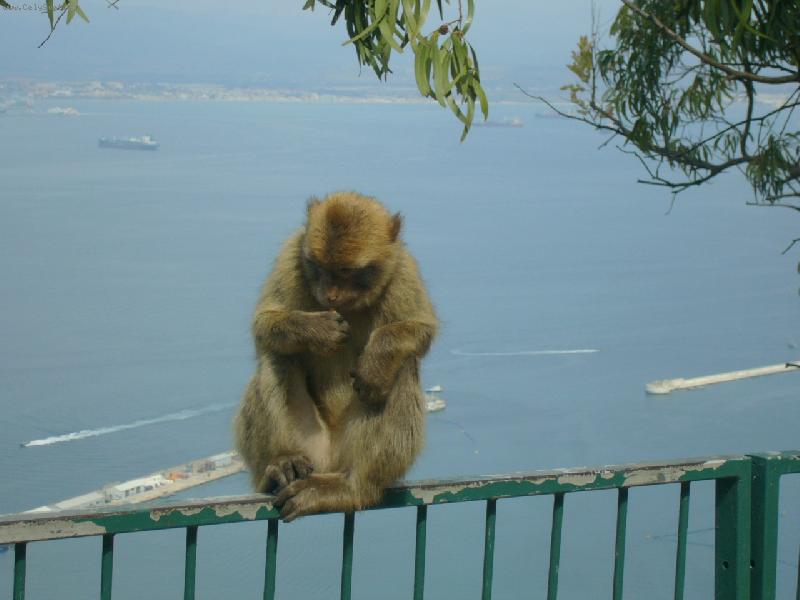 Foto: Gibraltar
