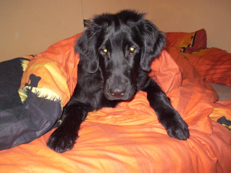 Foto: Bonee se probudil-Ale vst�vat j�t� nebudu to ode m� ne�ekejte