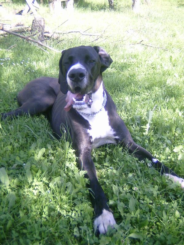 Foto: To je ale horko !