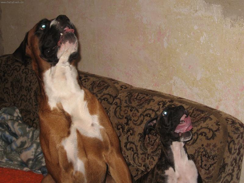 Foto: dostaneme n�co dobr�ho?