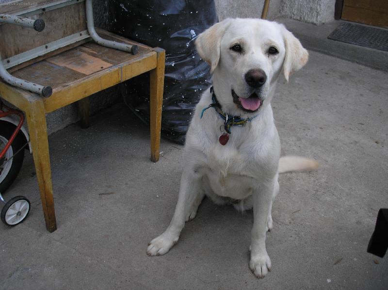 Foto: N� mil��ek