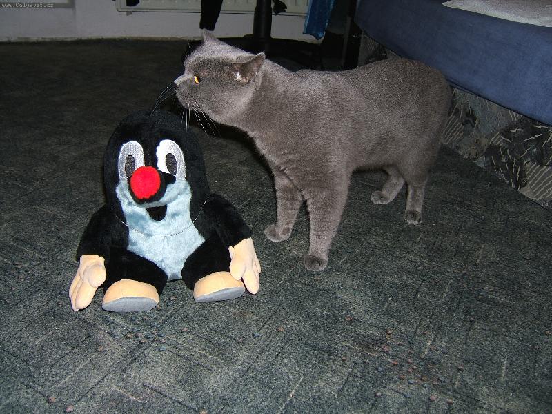 Foto: Flipe�ek a Krte�ek:-)