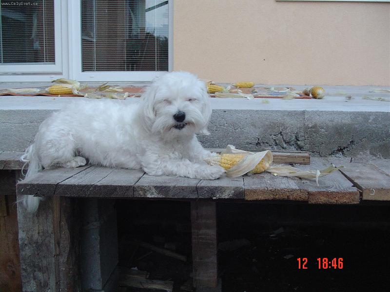 Foto: Chutn�!!!!!!!!!!!!!!!