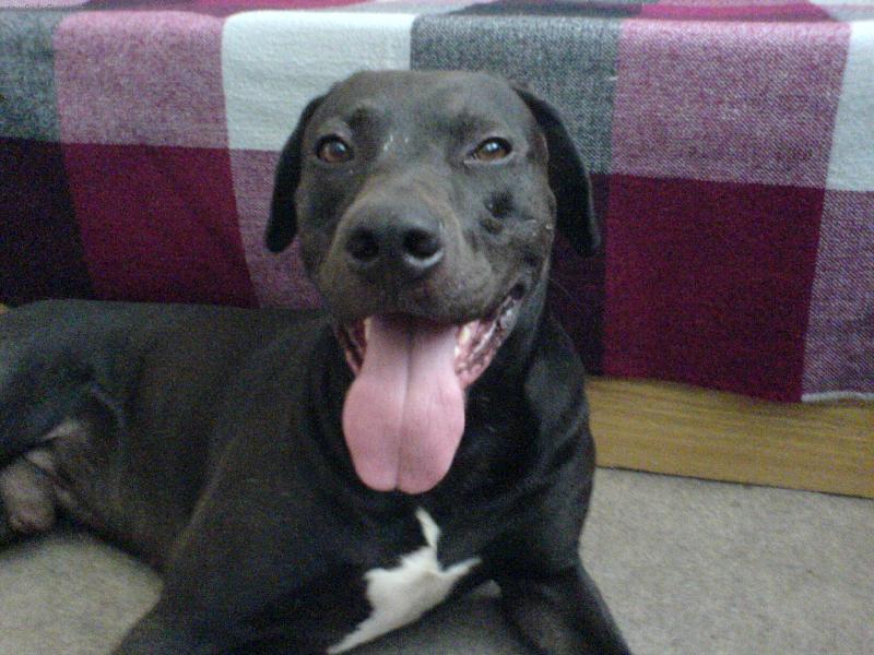 Foto: To byla maka�ka