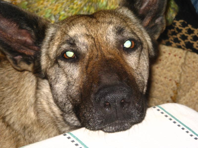 Foto: D� mi hlas....? Smutn� kouk�m...