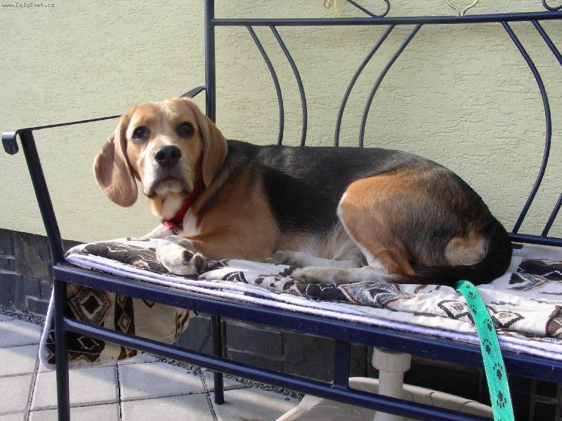 Foto: Co tak �u��??