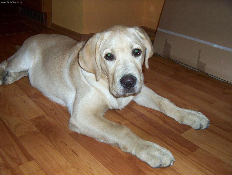 Foto: Max-odpo��v�m