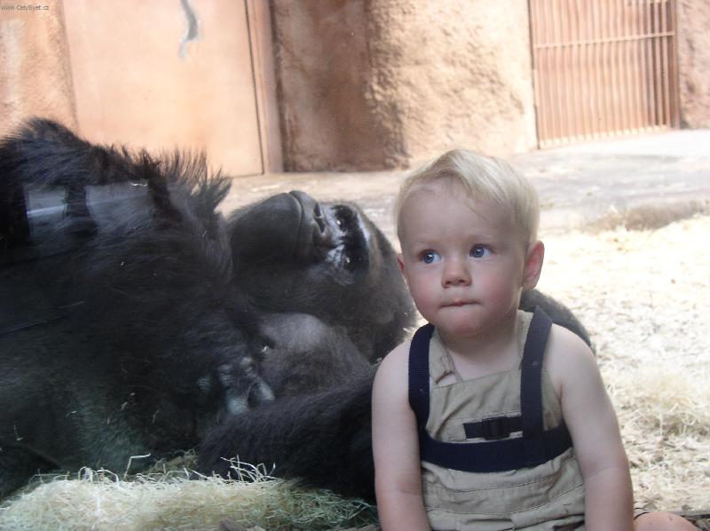 Foto: To nedopadne dob�e.-P�i n�v�t�v� Pra�sk� ZOO.