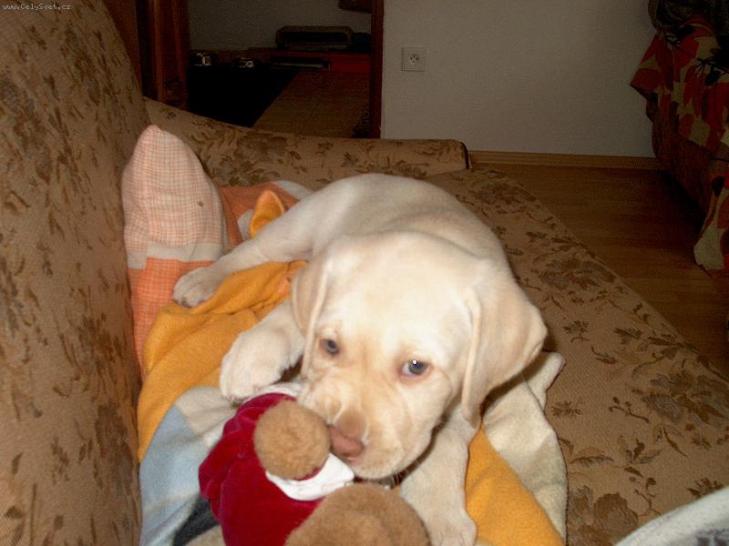 Foto: Mat�sek-Dostal jsem hra�ku a proto�e jsem byl mal�, mohla jsem b�t na gyu�i, te� u� nesm�m :o(