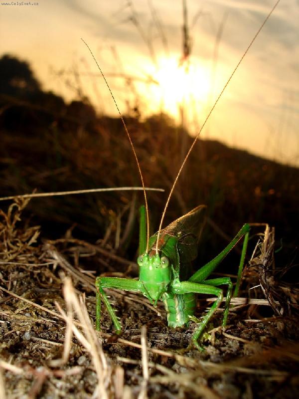 Foto: P�i z�padu slunce...