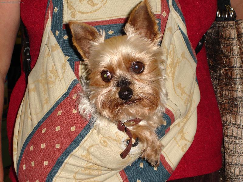 Foto: nen� nad pohodl�