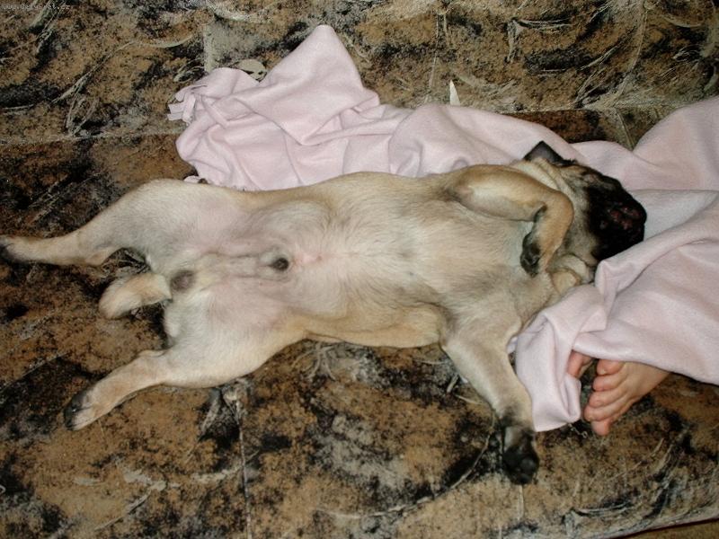 Foto: Eddy-Takhle spim