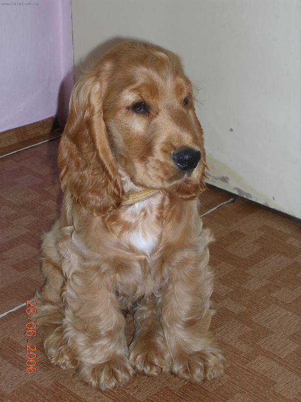 Foto: Tadeas Marcato Line