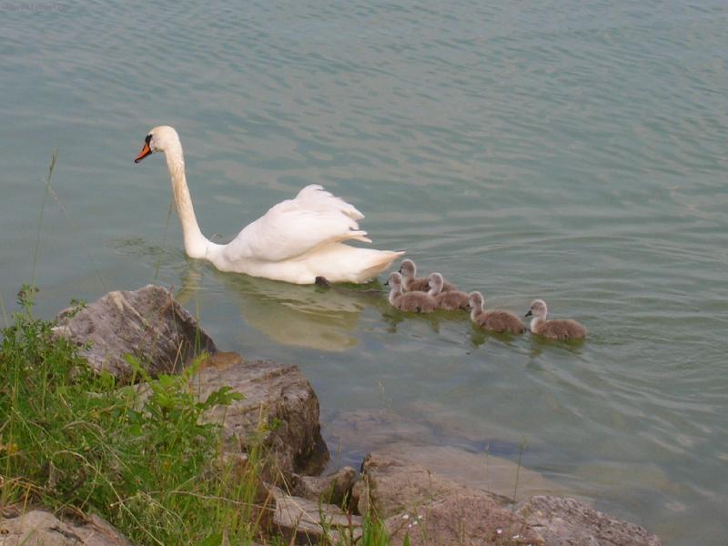 Foto: Honem,honem za m�mou