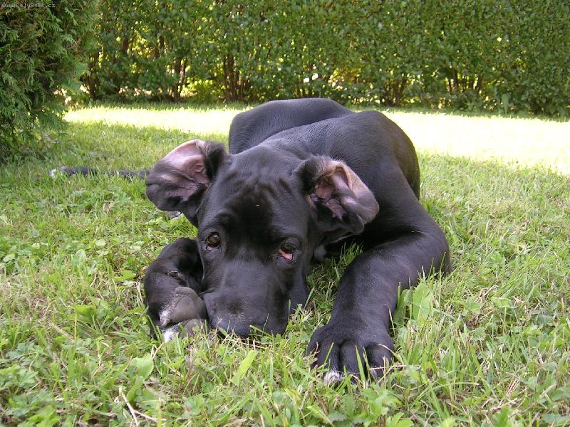 Foto: V�tr�m-Samuel - nen� sladkej?