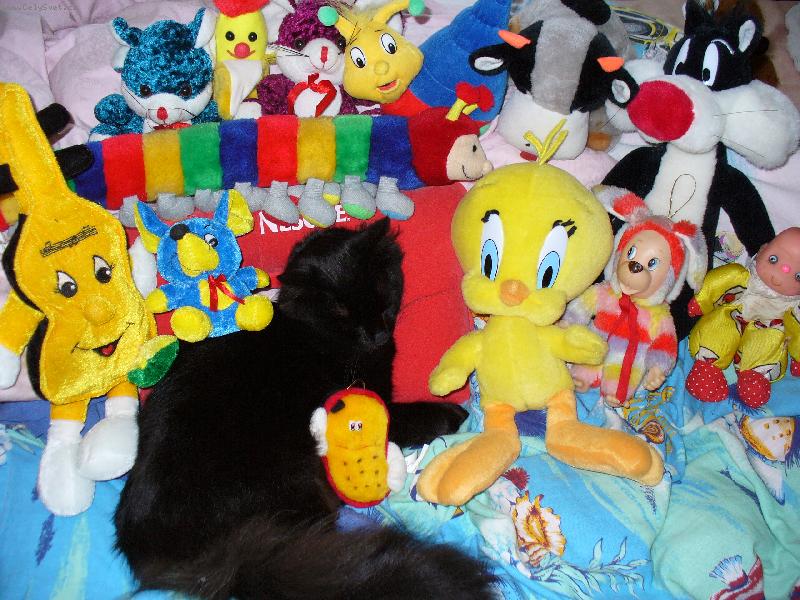 Foto: Mike�ek-Uhl�d�me t�, neboj !