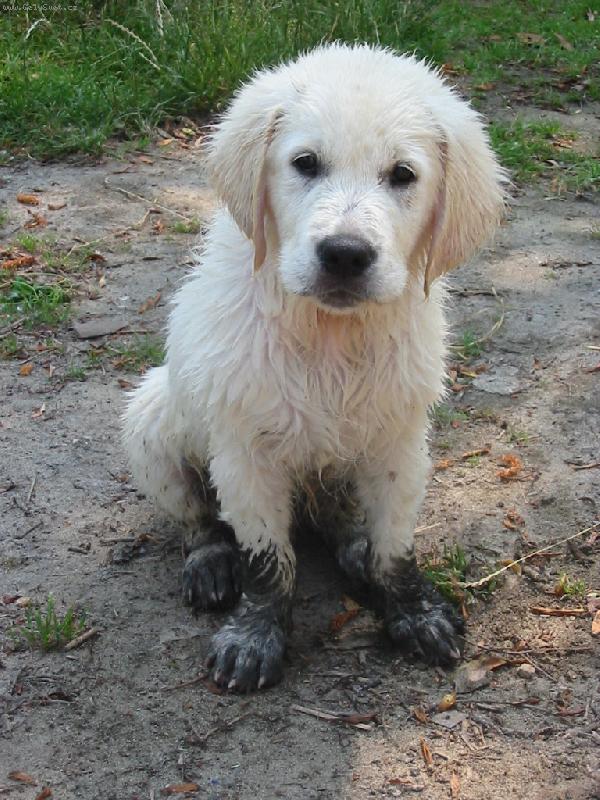 Foto: nov� boti�ky-:-))