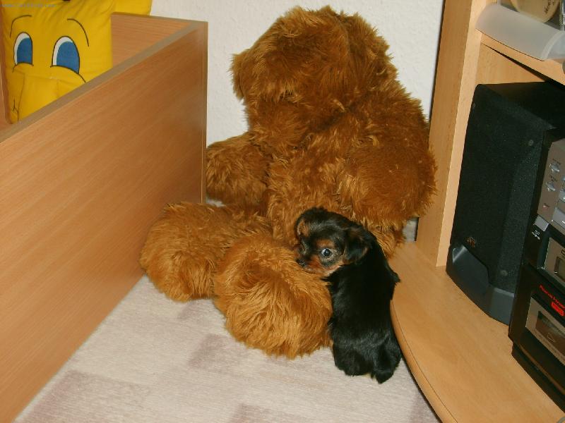 Foto: jste prost� v�ude