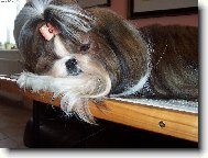 Jsem tro�ku unaven�